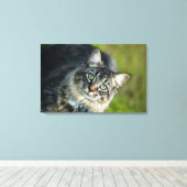 Portrait der Katze im Freien Leinwanddruck (Insitu (Holzboden))
