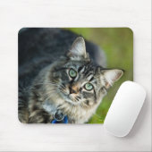 Portrait der Katze im Freien Mousepad (Mit Mouse)