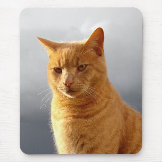 Portrait der Katze Merlin Mousepad (Vorne)