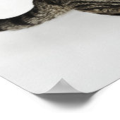 Portrait der Katzenjauchung Poster (Ecke)