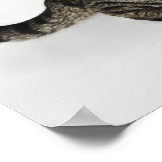 Portrait der Katzenjauchung Poster (Ecke)