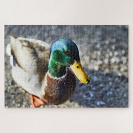Portrait der männlichen Stockente nah Puzzle