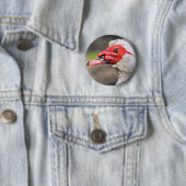 Portrait der Muschelente Button (Beispiel)