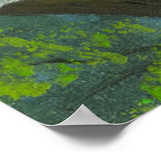 Portrait der Niedlichen Grün-mit Augen Katze in Bä Poster (Ecke)