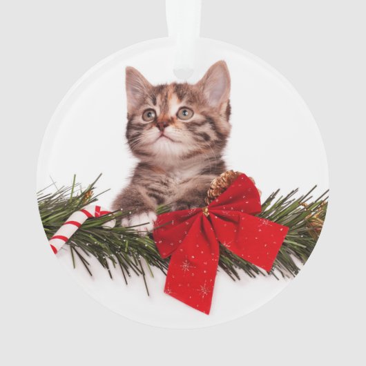 Portrait der Niedlichen Weihnachtskätzchen Ornament (Rückseite)