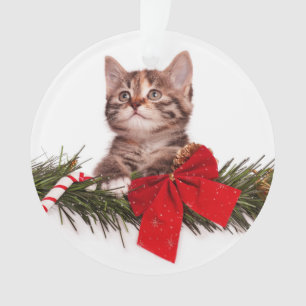 Portrait der Niedlichen Weihnachtskätzchen Ornament