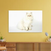 Portrait der persischen Katze Leinwanddruck (Insitu (Wohnzimmer))