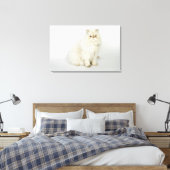 Portrait der persischen Katze Leinwanddruck (Insitu (Schlafzimmer))