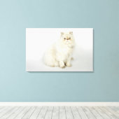 Portrait der persischen Katze Leinwanddruck (Insitu (Holzboden))