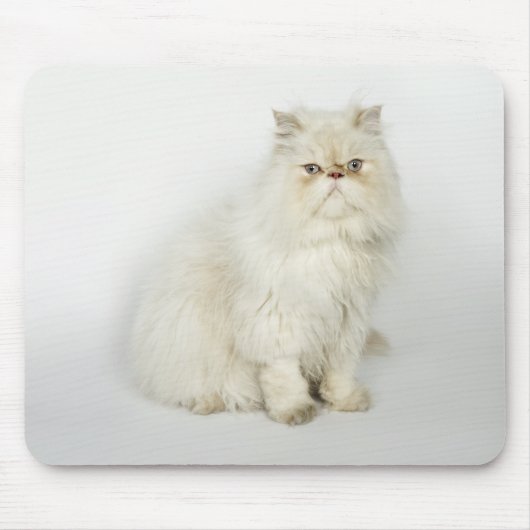 Portrait der persischen Katze Mousepad (Vorne)