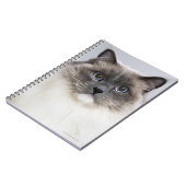 Portrait der Ragdoll-Katze Notizblock (Linke Seite)
