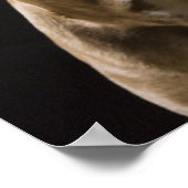 Portrait der roten Nasenrutsche mit schwarz Poster (Ecke)