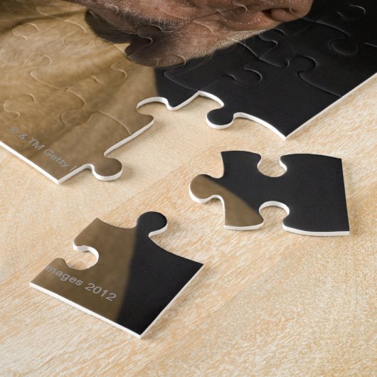 Portrait der roten Nasenrutsche mit schwarz Puzzle (Seite)