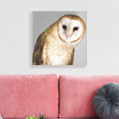 Portrait der Scheuneneule (Tyto alba). Leinwanddruck (Insitu (Wohnzimmer))