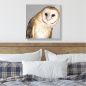 Portrait der Scheuneneule (Tyto alba). Leinwanddruck (Insitu (Schlafzimmer))