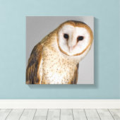Portrait der Scheuneneule (Tyto alba). Leinwanddruck (Insitu (Holzboden))
