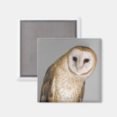 Portrait der Scheuneneule (Tyto alba). Magnet (Vorderseite/Rückseite)