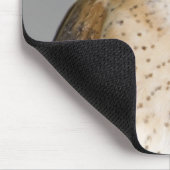 Portrait der Scheuneneule (Tyto alba). Mousepad (Ecke)