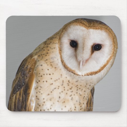 Portrait der Scheuneneule (Tyto alba). Mousepad (Vorne)