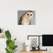 Portrait der Scheuneneule (Tyto alba). Poster (Heimbüro)