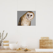 Portrait der Scheuneneule (Tyto alba). Poster (Küche)