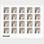 Portrait der Scheuneneule (Tyto alba). Quadratischer Aufkleber (Blatt)