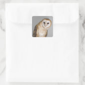 Portrait der Scheuneneule (Tyto alba). Quadratischer Aufkleber (Tasche)