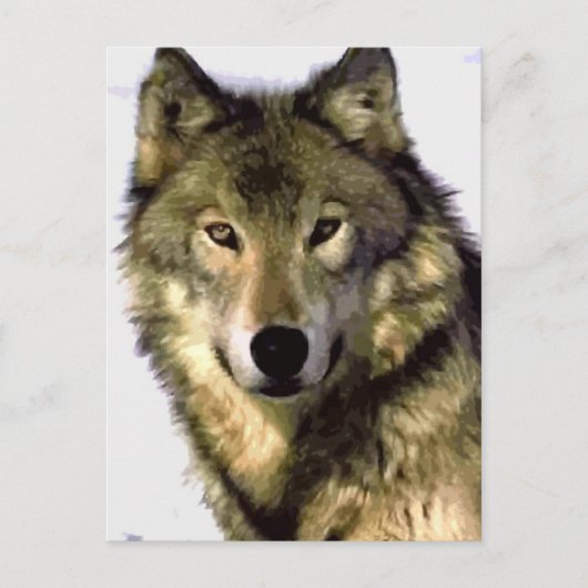 Portrait der Wolf-Post-Karte Postkarte (Vorderseite)