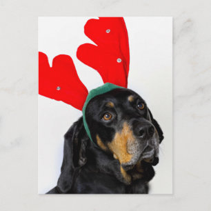 Portrait des Coonhound-Hundes mit roten Antlers Postkarte