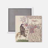 Portrait des Faksimiles von Geoffrey Chaucer von Magnet (Vorderseite/Rückseite)