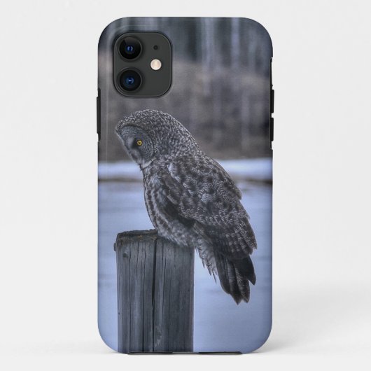Portrait des Fotos "Great Gray Owl Wildlife" III Case-Mate iPhone Hülle (Rückseite)
