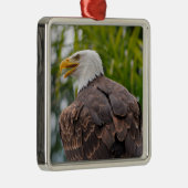 Portrait des Glattadlers Ornament Aus Metall (Rechts)