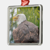 Portrait des Glattadlers Ornament Aus Metall (Links)