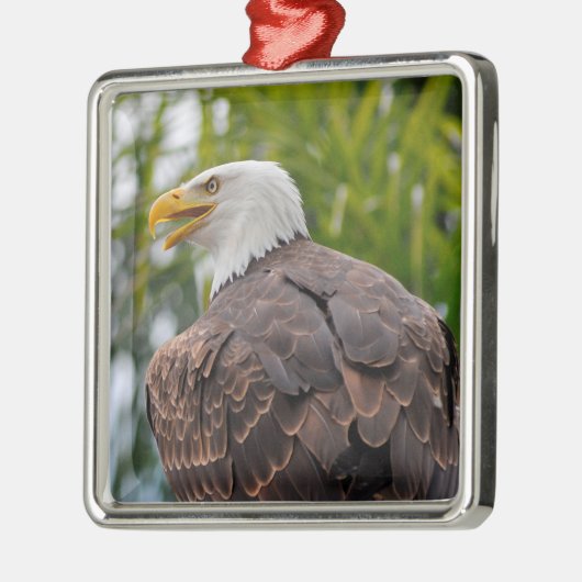 Portrait des Glattadlers Ornament Aus Metall (Links)