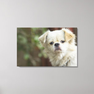Portrait des Hundes 5 Leinwanddruck