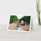 Portrait des Hundes in Orchard Karte (Vorderseite)