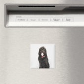 Portrait des Hundes Labradoodle Magnet (In Situ (Geschirrspüler))