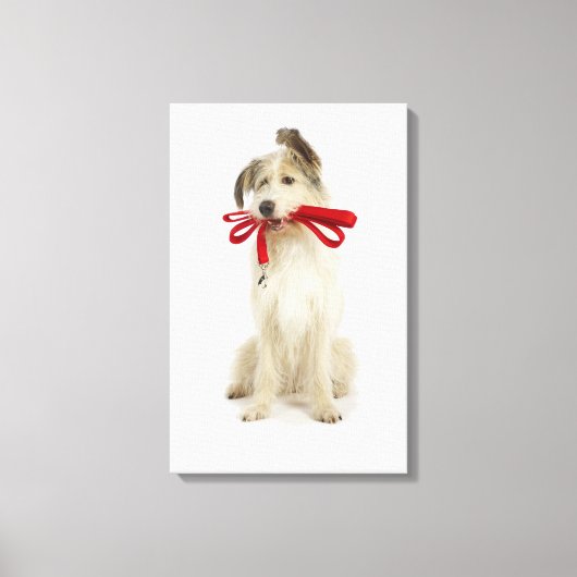 Portrait des Hundes mit Leash Leinwanddruck (Vorderseite)
