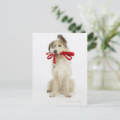 Portrait des Hundes mit Leash Postkarte (Stehend Vorderseite)