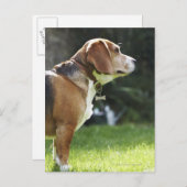Portrait des Hundes Postkarte (Vorne/Hinten)
