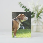 Portrait des Hundes Postkarte (Stehend Vorderseite)