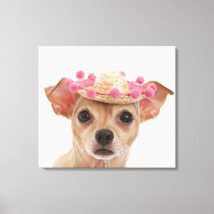 Portrait des kleinen Hundes in Sombrero Leinwanddruck