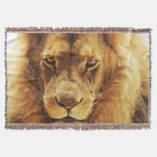 Portrait des männlichen afrikanischen Löwen. Decke (Vorderseite)