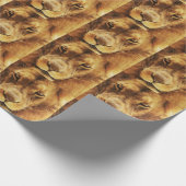 Portrait des männlichen afrikanischen Löwen. Geschenkpapier (Ecke)