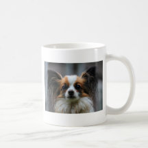 Portrait des reinrassigen Papillon-Hundes