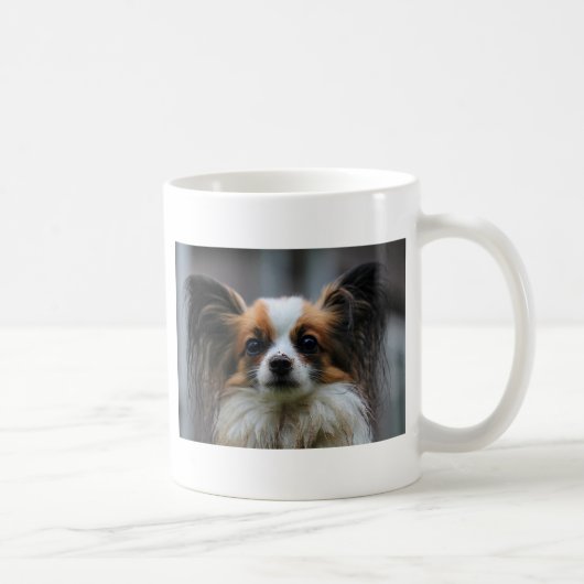 Portrait des reinrassigen Papillon-Hundes Kaffeetasse (Rechts)