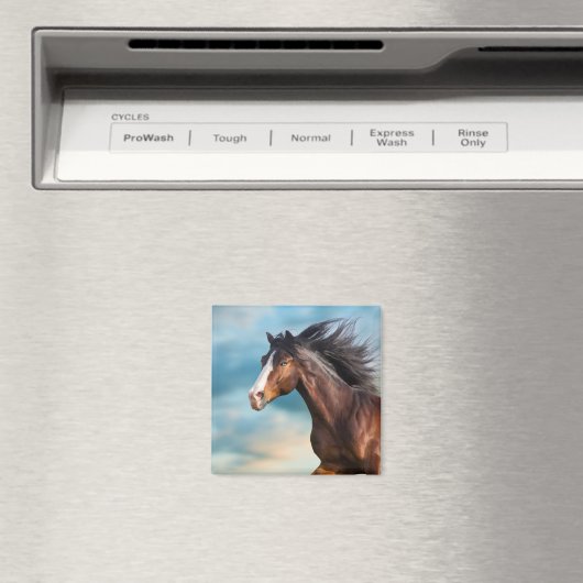 Portrait des schönen Pferdes mit Long Mane Magnet (In Situ (Geschirrspüler))