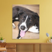Portrait des schwarzen Hundes Leinwanddruck (Insitu (Wohnzimmer))