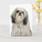 Portrait des tibetischen Terrier-Welpen Karte (Gelbe Blume)