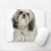 Portrait des tibetischen Terrier Welpen Mousepad (Mit Mouse)